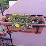 Casa וילסימיוס