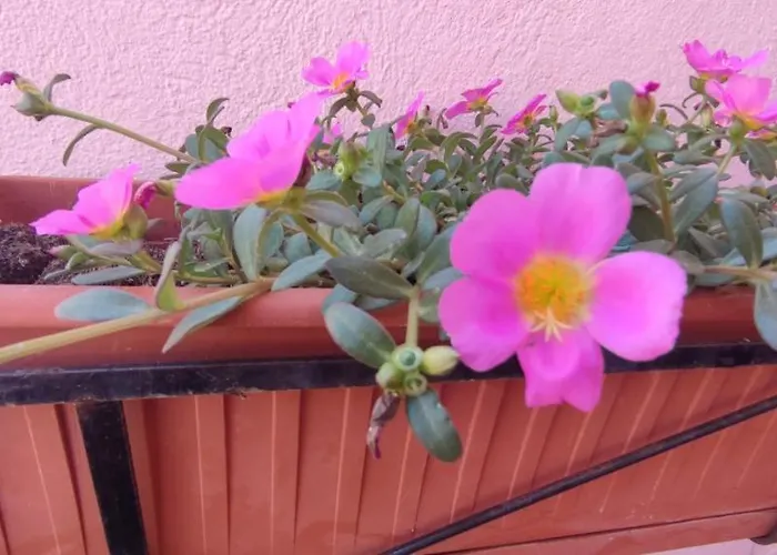 Holiday home Casa Villasimius